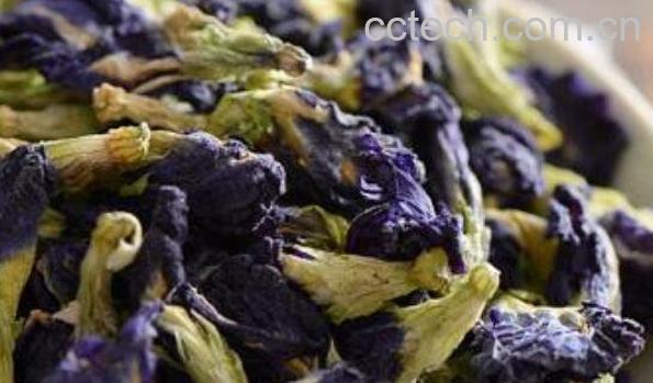 蓝蝴蝶花茶怎么泡 蓝蝴蝶花茶的正确泡法-0