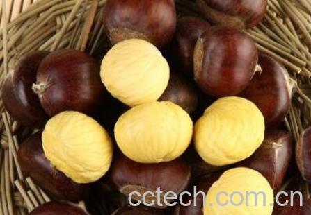 生板栗用冰箱如何保存 生板栗的保存方法-0