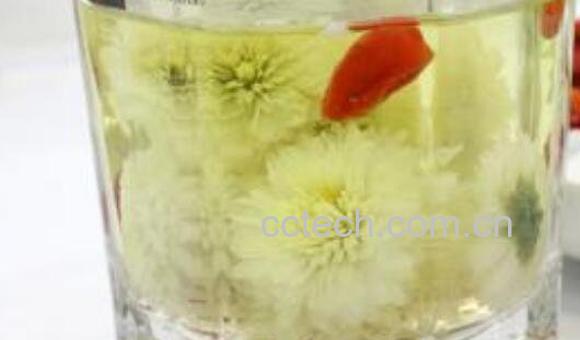 贡菊花茶的功效与作用-1