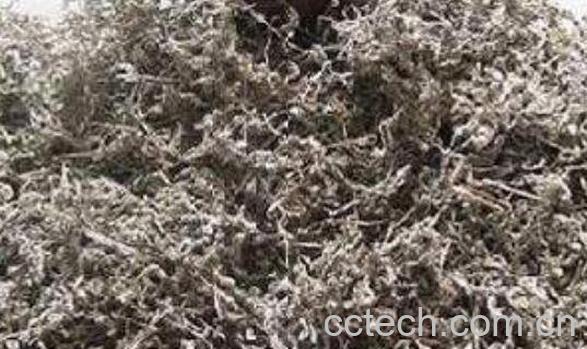 野生莓茶的功效与作用 莓茶什么人不适合喝-1