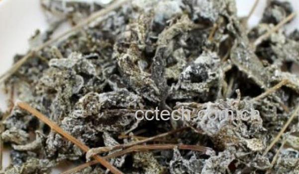 莓茶的功效与作用有哪些-1