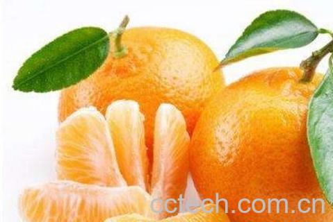 白糖蒸柑橘的功效与作用-0