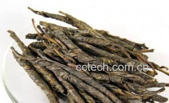 苦丁茶的功效与作用 苦丁茶的食用禁忌-0