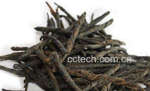 苦丁茶的功效与作用 苦丁茶的食用禁忌-1