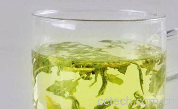 荷叶茶的功效与作用 喝荷叶茶的好处-1