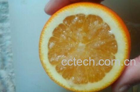 蒸橙子治咳嗽的功效与作用以及原理-1
