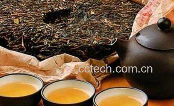 生普洱茶如何泡 生普洱茶的泡法教程-1