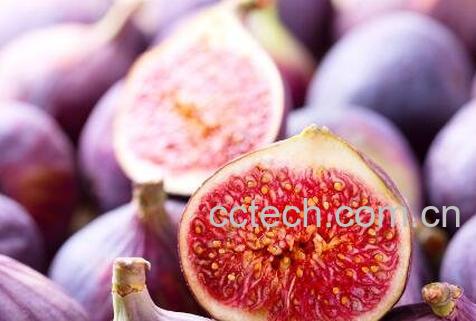 白糖蒸无花果的功效与作用-1