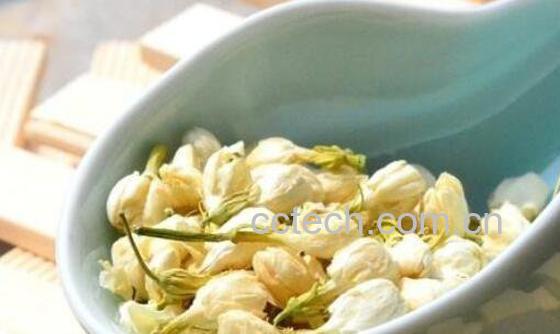 茉利花茶的功效与作用 喝茉利花茶的好处-0