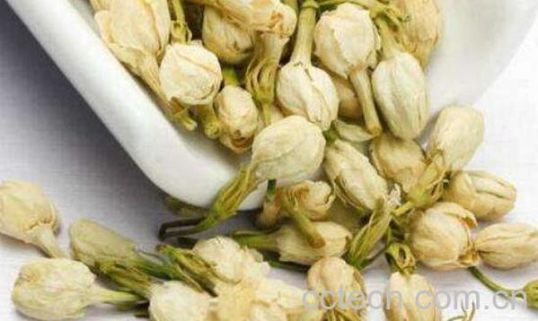 茉利花茶的功效与作用 喝茉利花茶的好处-1