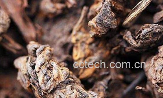 女人喝普洱茶好不好 女性喝普洱茶的危害-0