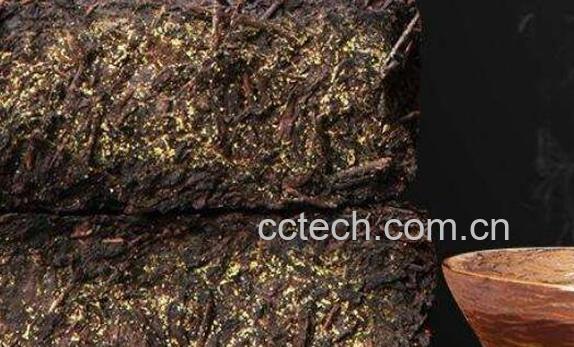 茯茶的功效与作用 茯茶的食用禁忌-1