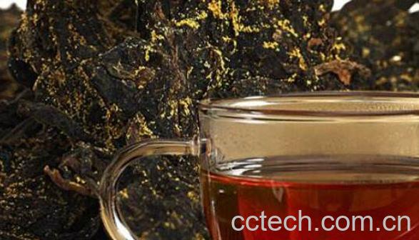 茯茶怎么泡 什么人不能喝茯茶-0