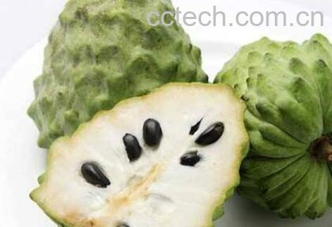 释迦果怎么吃 释迦果的吃法技巧-0