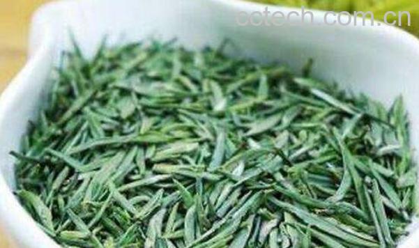 雀舌属于什么茶 雀舌的功效与作用-1