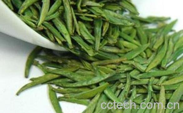 雀舌属于什么茶 雀舌的功效与作用-0