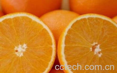  黄橙子的功效与作用-1