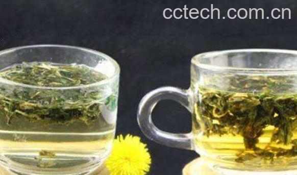 蒲公英茶的功效与作用 喝蒲公英茶的好处-1