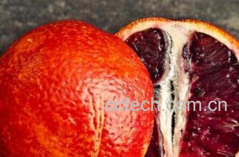 紫橙子的功效与作用-0