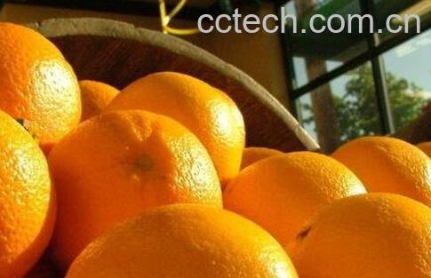 孕妇可以吃橙子吗 孕妇吃橙子的好处-0