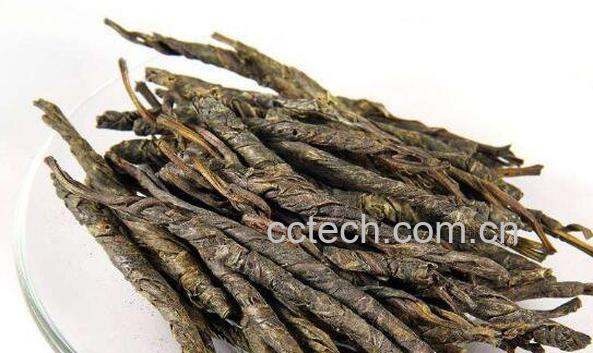 苦丁茶的功效与作用 苦丁茶的正确泡法-1