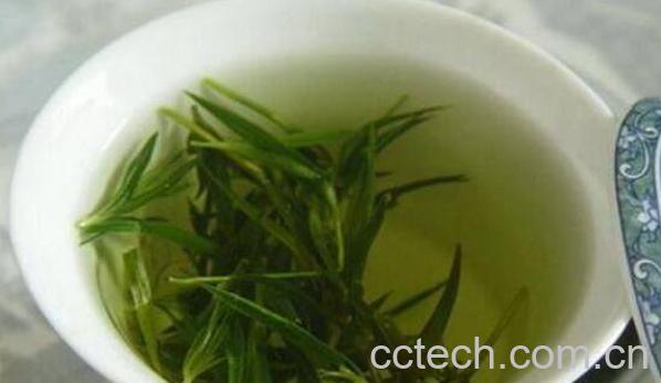 喝什么茶可以去口臭 口臭喝点什么茶好-0