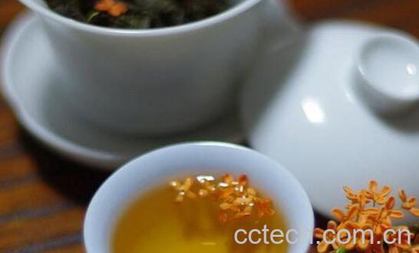 喝什么茶可以去口臭 口臭喝点什么茶好-1