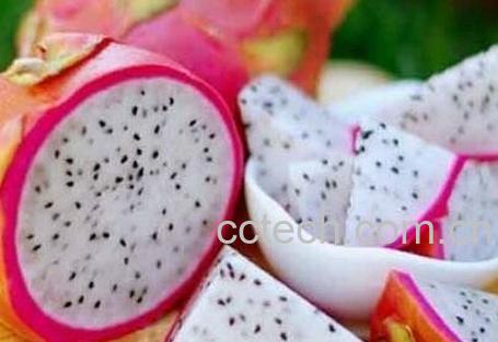 白肉火龙果的挑选方法-0