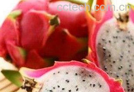 白肉火龙果的挑选方法-1