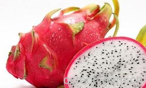 白肉火龙果的功效与作用-0
