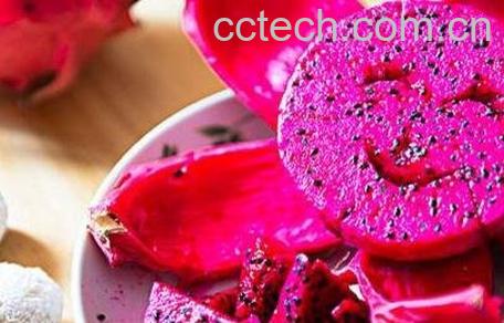 孕妇可以吃火龙果吗 孕妇吃火龙果的好处-1