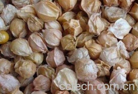 黄果皮的功效与作用-0