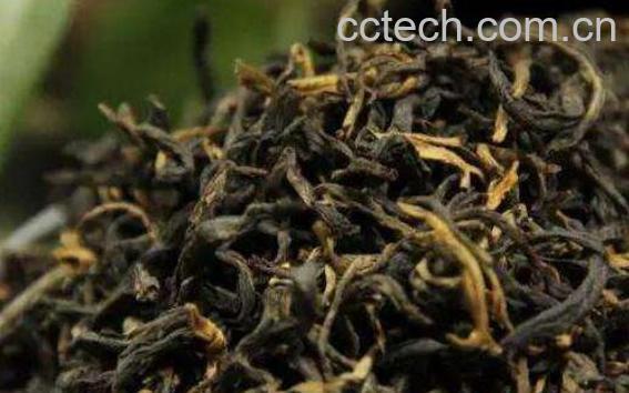 古树红茶属于什么茶 喝古树红茶的功效与作用-0