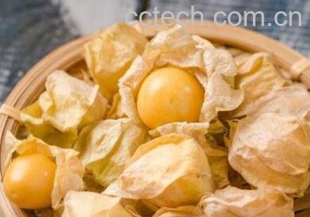 黄果皮的功效与作用-1