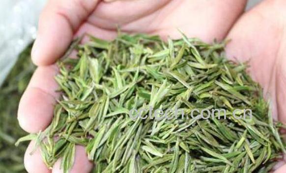 安吉白茶有什么功效 喝安吉白茶有什么好处-0