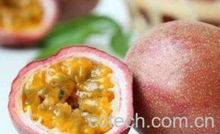 百香果皮酒怎么泡 百香果皮酒的制作方法-0