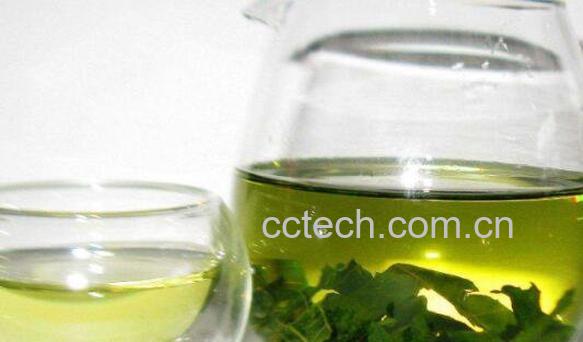 桑叶茶的功效与作用 桑叶茶的禁忌-0