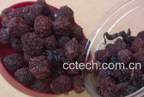 紫苏杨梅干的功效与作用-1