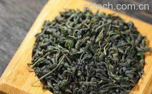 辣木叶蒲公英茶的功效-1