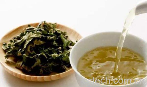 喝茶叶有什么好处和坏处-1