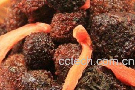 紫苏杨梅姜的功效与作用-1