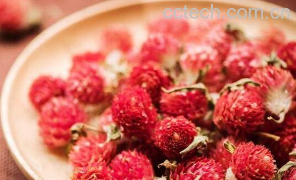 红巧梅泡水喝的功效-0