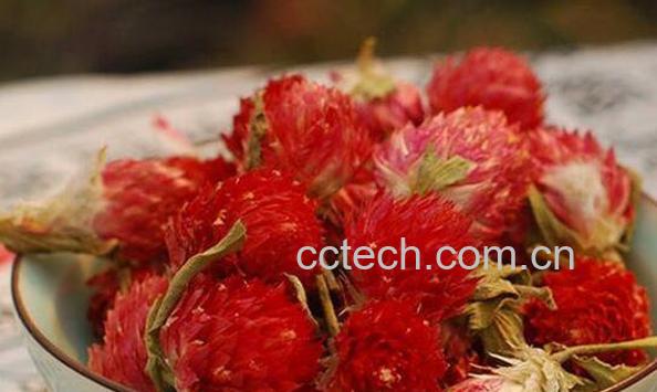 红巧梅泡水喝的功效-1