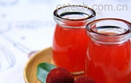 自制杨梅汁的材料和做法步骤-0