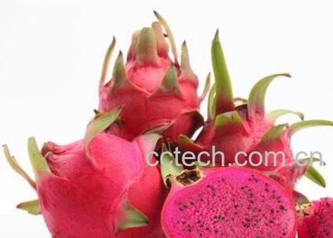 火龙果的营养成分和营养价值-0