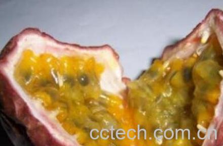 百果皮的功效与作用-0