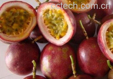 百果皮的功效与作用-1