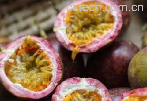 百花果皮的功效与作用-0