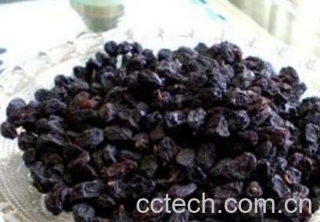 黑豆果泡酒的功效-0