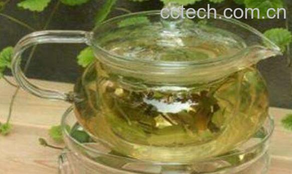 罗布麻茶的功效与作用 喝罗布麻茶的好处-1